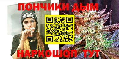 гашик Сланцы