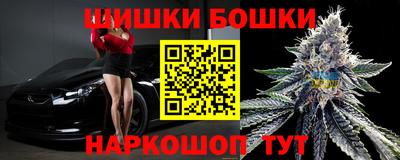 гашик Сланцы