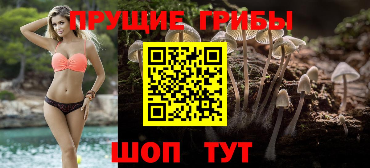 Псилоцибиновые грибы мицелий Похвистнево
